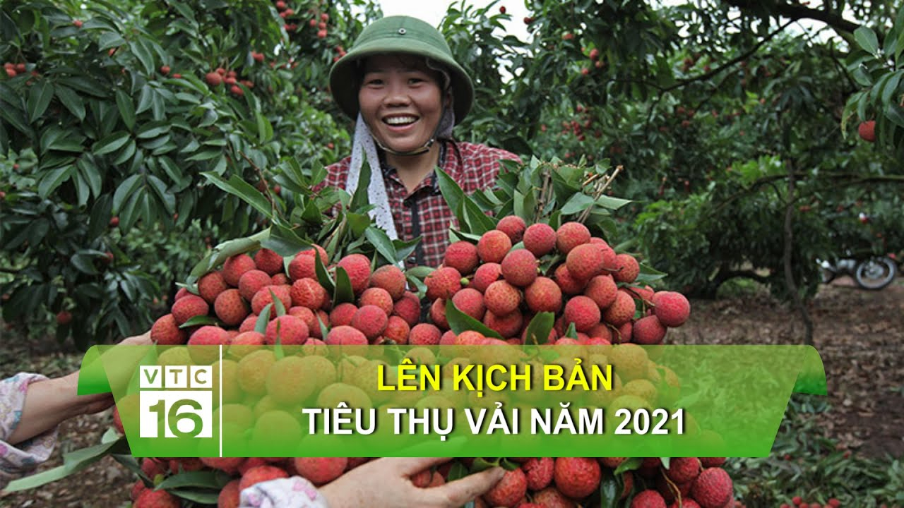 Top 10 trường tỷ lệ 'chọi' vào lớp 10 cao nhất TP.HCM 2025
