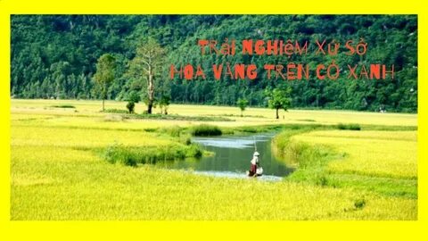Hàng xóm bên trái cấm sửa nhà ban ngày, hàng xóm bên phải cấm làm ban đêm
