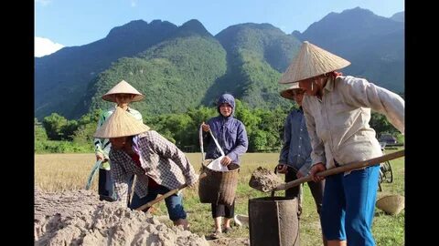 Trực tiếp bóng đá Hải Phòng 2-1 Thanh Hóa: Ribamar lập công